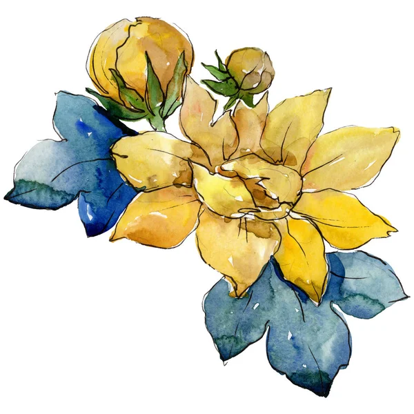 Bouquet aquarelle fleurs jaunes. Fleur botanique florale. Élément d'illustration isolé . — Photo