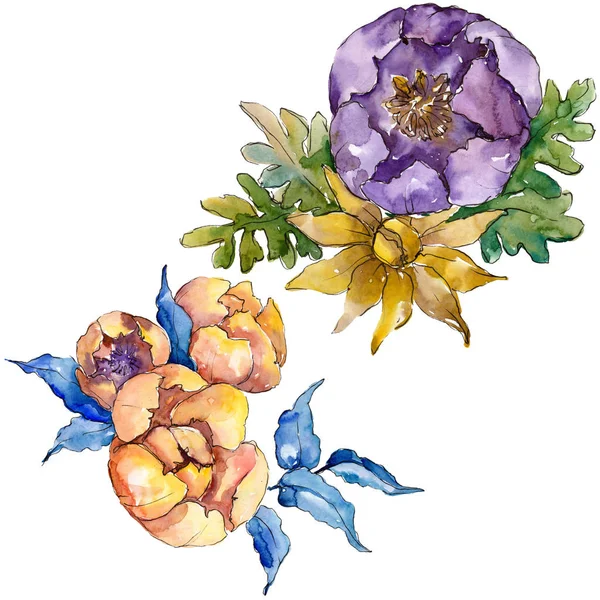 Ακουαρέλα πολύχρωμο μπουκέτο λουλούδια. Floral βοτανικό λουλούδι. Απομονωμένη εικονογράφηση στοιχείο. — Φωτογραφία Αρχείου