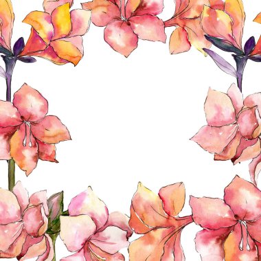 Sulu boya turuncu amaryllis çiçek. Çerçeve kenarlığı süsleme Meydanı.