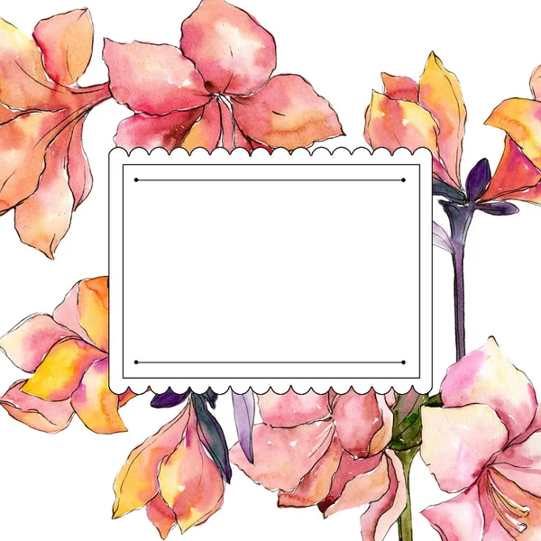 Watercolor orange amaryllis flower. Frame border ornament square. — Stock Photo, Image