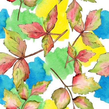 Akçaağaç renkli yaprakları. Yaprak bitki botanik bahçe çiçek yaprakları. Sorunsuz arka plan deseni.