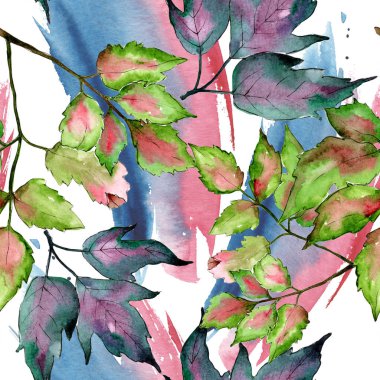 Akçaağaç renkli yaprakları. Yaprak bitki botanik bahçe çiçek yaprakları. Sorunsuz arka plan deseni.