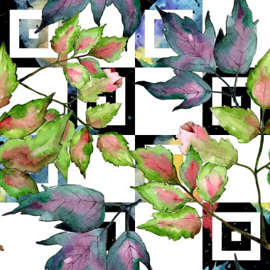 Akçaağaç renkli yaprakları. Yaprak bitki botanik bahçe çiçek yaprakları. Sorunsuz arka plan deseni.