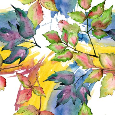 Akçaağaç renkli yaprakları. Yaprak bitki botanik bahçe çiçek yaprakları. Sorunsuz arka plan deseni.