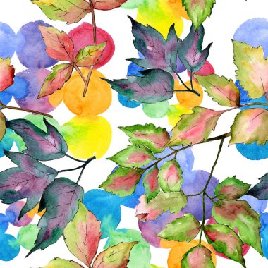 Akçaağaç renkli yaprakları. Yaprak bitki botanik bahçe çiçek yaprakları. Sorunsuz arka plan deseni.