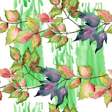 Akçaağaç renkli yaprakları. Yaprak bitki botanik bahçe çiçek yaprakları. Sorunsuz arka plan deseni.