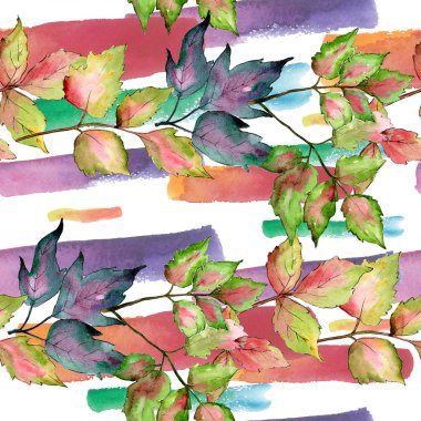 Akçaağaç renkli yaprakları. Yaprak bitki botanik bahçe çiçek yaprakları. Sorunsuz arka plan deseni.