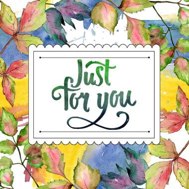 Akçaağaç renkli yaprakları. Yaprak bitki botanik bahçe çiçek yaprakları. Çerçeve kenarlığı süsleme Meydanı.