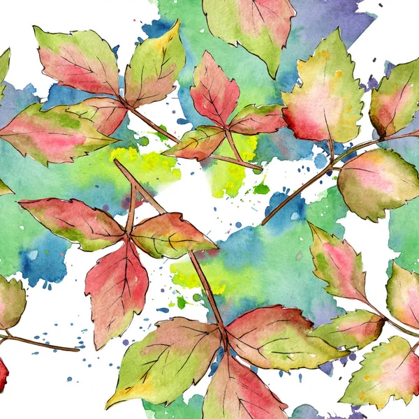 Кленовые цветные листья. Цветочная листва ботанического сада. Бесшовный рисунок фона . — стоковое фото
