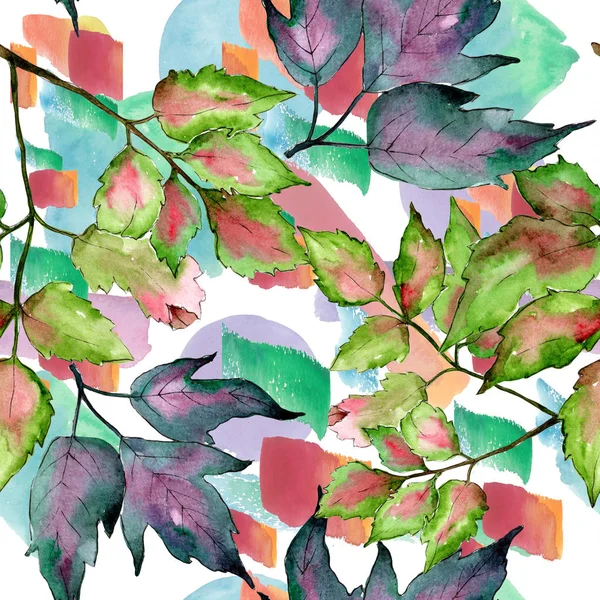 Kleurrijke bladeren van de esdoorn. Blad plant botanische tuin floral gebladerte. Naadloze achtergrondpatroon. — Stockfoto