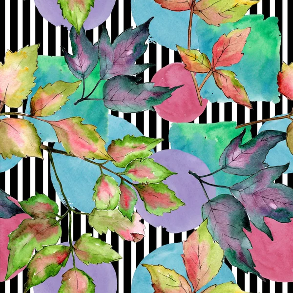Hojas de arce colorido. Planta de hojas de jardín botánico follaje floral. Patrón de fondo sin costuras . —  Fotos de Stock