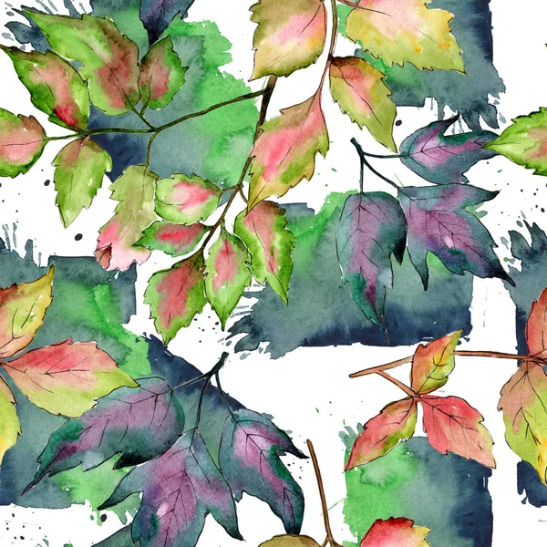 Maple colorful leaves. Leaf plant botanical garden floral foliage. Seamless background pattern. — Stock Photo, Image