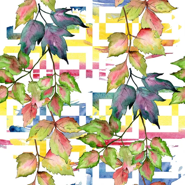 Maple colorful leaves. Leaf plant botanical garden floral foliage. Seamless background pattern. — Stock Photo, Image