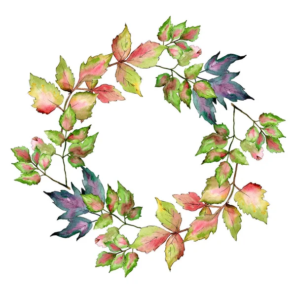 Kleurrijke bladeren van de esdoorn. Blad plant botanische tuin floral gebladerte. Frame grens ornament vierkant. — Stockfoto