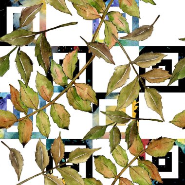 Yeşil kül bırakır. Yaprak bitki botanik bahçe çiçek yaprakları. Sorunsuz arka plan deseni.