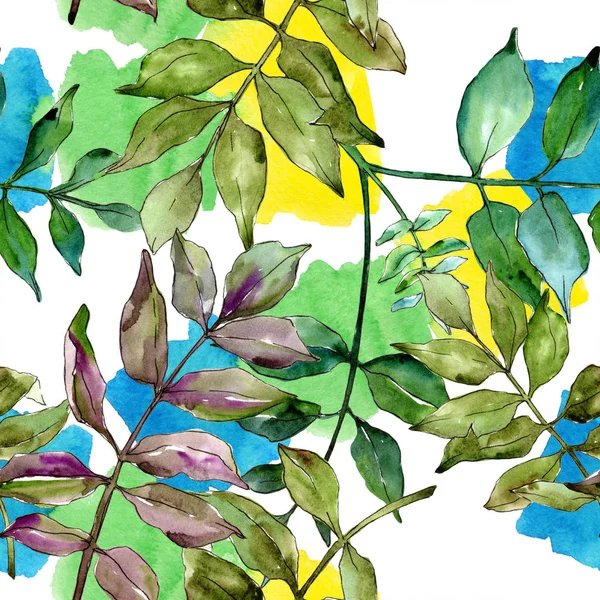 Зеленые листья золы. Цветочная листва ботанического сада. Бесшовный рисунок фона . — стоковое фото