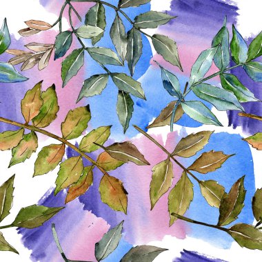 Yeşil kül bırakır. Yaprak bitki botanik bahçe çiçek yaprakları. Sorunsuz arka plan deseni. Kumaş duvar kağıdı yazdırma doku. Aquarelle yaprak için arka plan, doku, sarıcı desen, çerçeve veya kenarlık.