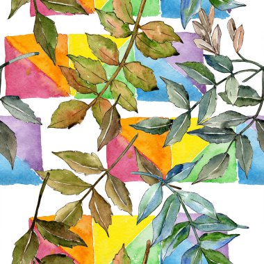 Yeşil kül bırakır. Yaprak bitki botanik bahçe çiçek yaprakları. Sorunsuz arka plan deseni. Kumaş duvar kağıdı yazdırma doku. Aquarelle yaprak için arka plan, doku, sarıcı desen, çerçeve veya kenarlık.