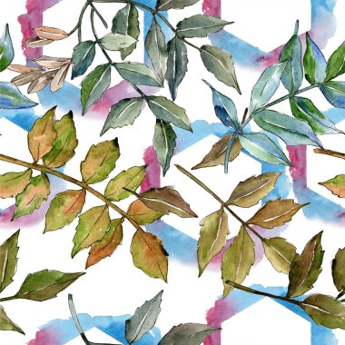 Yeşil kül bırakır. Yaprak bitki botanik bahçe çiçek yaprakları. Sorunsuz arka plan deseni. Kumaş duvar kağıdı yazdırma doku. Aquarelle yaprak için arka plan, doku, sarıcı desen, çerçeve veya kenarlık.