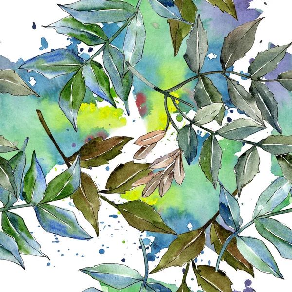 Grüne Esche Blättert Blattpflanze Botanischer Garten Florales Laub Nahtlose Hintergrundmuster — Stockfoto