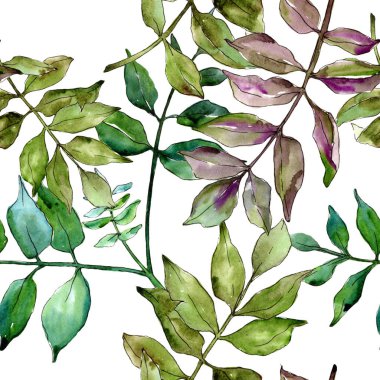 Yeşil kül bırakır. Yaprak bitki botanik bahçe çiçek yaprakları. Sorunsuz arka plan deseni. Kumaş duvar kağıdı yazdırma doku. Aquarelle yaprak için arka plan, doku, sarıcı desen, çerçeve veya kenarlık.