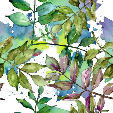 Yeşil kül bırakır. Yaprak bitki botanik bahçe çiçek yaprakları. Sorunsuz arka plan deseni. Kumaş duvar kağıdı yazdırma doku. Aquarelle yaprak için arka plan, doku, sarıcı desen, çerçeve veya kenarlık.