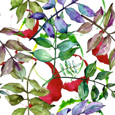 Yeşil kül bırakır. Yaprak bitki botanik bahçe çiçek yaprakları. Sorunsuz arka plan deseni. Kumaş duvar kağıdı yazdırma doku. Aquarelle yaprak için arka plan, doku, sarıcı desen, çerçeve veya kenarlık.