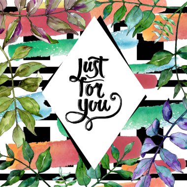 Yeşil kül bırakır. Yaprak bitki botanik bahçe çiçek yaprakları. Çerçeve kenarlığı süsleme Meydanı. Aquarelle yaprak için arka plan, doku, sarıcı desen, çerçeve veya kenarlık.