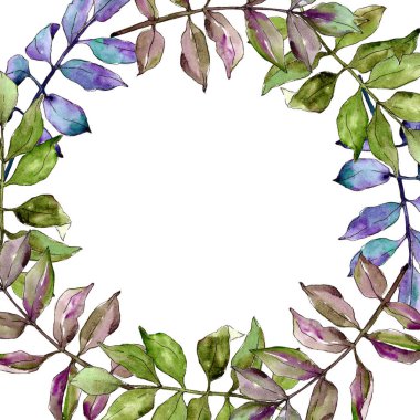 Yeşil kül bırakır. Yaprak bitki botanik bahçe çiçek yaprakları. Çerçeve kenarlığı süsleme Meydanı. Aquarelle yaprak için arka plan, doku, sarıcı desen, çerçeve veya kenarlık.