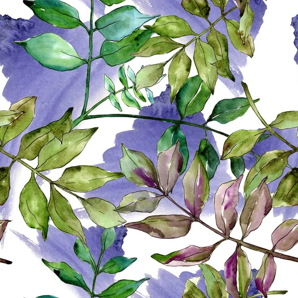 Yeşil kül bırakır. Yaprak bitki botanik bahçe çiçek yaprakları. Sorunsuz arka plan deseni. Kumaş duvar kağıdı yazdırma doku. Aquarelle yaprak için arka plan, doku, sarıcı desen, çerçeve veya kenarlık.