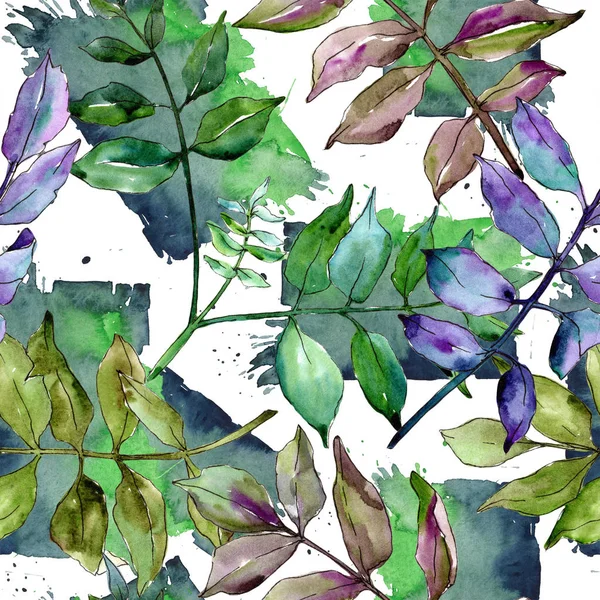 Зеленые Листья Золы Цветочная Листва Ботанического Сада Бесшовный Рисунок Фона — стоковое фото