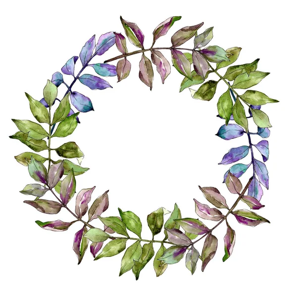 Grüne Esche Blättert Blattpflanze Botanischer Garten Florales Laub Rahmen Bordüre — Stockfoto