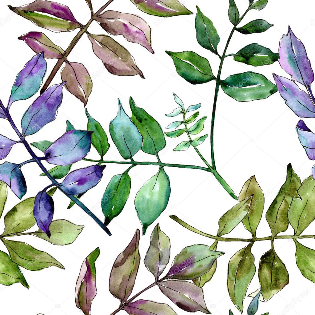 Green ash leaves. Leaf plant botanical garden floral foliage. Seamless background pattern. Fabric wallpaper print texture. Aquarelle leaf for background, texture, wrapper pattern, frame or border.