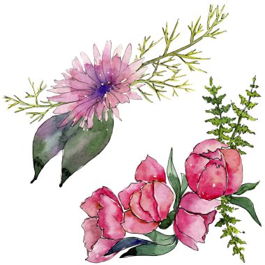 Sulu boya pembe buket çiçek. Botanik çiçek. İzole illüstrasyon öğesi. Arka plan, doku, sarıcı desen, çerçeve veya kenarlık için Aquarelle kır çiçeği.