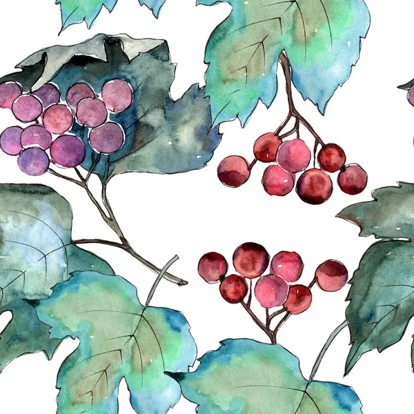 Kolorowa Jesień Liść Vibirnum Liść Roślina Botaniczny Ogród Kwiatowy Liści — Zdjęcie stockowe