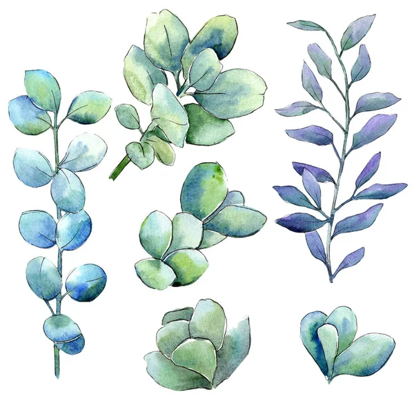 緑水彩ツゲの葉 葉植物植物園花葉 孤立した図の要素 テクスチャ ラッパー パターン フレームや境界線の Aquarelle — ストック写真