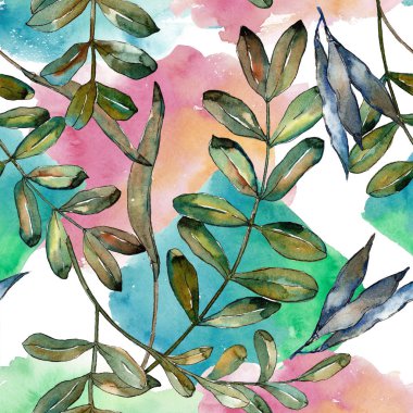 Watercolo yeşil akasya bırakır. Yaprak bitki botanik bahçe çiçek yaprakları. Sorunsuz arka plan deseni. Kumaş duvar kağıdı yazdırma doku. Aquarelle yaprak için arka plan, doku, sarıcı desen.