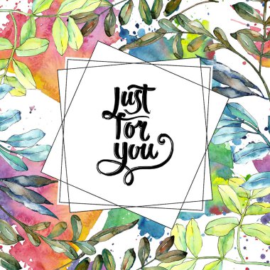 Watercolo yeşil akasya bırakır. Yaprak bitki botanik bahçe çiçek yaprakları. Çerçeve kenarlığı süsleme Meydanı. Aquarelle yaprak için arka plan, doku, sarıcı desen, çerçeve veya kenarlık.