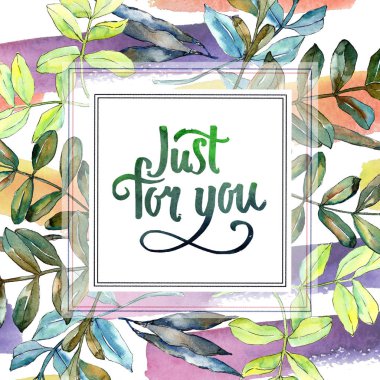 Watercolo yeşil akasya bırakır. Yaprak bitki botanik bahçe çiçek yaprakları. Çerçeve kenarlığı süsleme Meydanı. Aquarelle yaprak için arka plan, doku, sarıcı desen, çerçeve veya kenarlık.