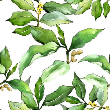 Suluboya iğde yeşil yaprakları. Yaprak bitki botanik bahçe çiçek yaprakları. Sorunsuz arka plan deseni. Kumaş duvar kağıdı yazdırma doku. Aquarelle yaprak için arka plan, doku, sarıcı desen.