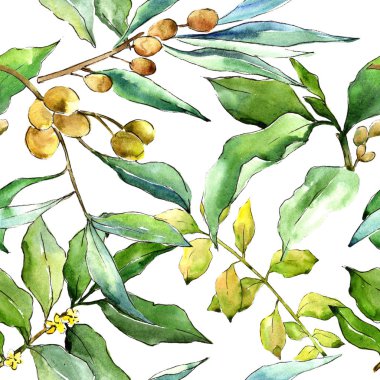 Suluboya iğde yeşil yaprakları. Yaprak bitki botanik bahçe çiçek yaprakları. Sorunsuz arka plan deseni. Kumaş duvar kağıdı yazdırma doku. Aquarelle yaprak için arka plan, doku, sarıcı desen.