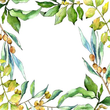 Suluboya iğde yeşil yaprakları. Yaprak bitki botanik bahçe çiçek yaprakları. Çerçeve kenarlığı süsleme Meydanı. Aquarelle yaprak için arka plan, doku, sarıcı desen, çerçeve veya kenarlık.