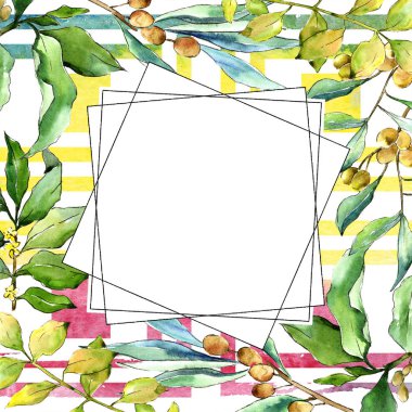 Suluboya iğde yeşil yaprakları. Yaprak bitki botanik bahçe çiçek yaprakları. Çerçeve kenarlığı süsleme Meydanı. Aquarelle yaprak için arka plan, doku, sarıcı desen, çerçeve veya kenarlık.