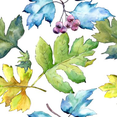 Suluboya alıç renkli yaprakları. Yaprak bitki botanik bahçe çiçek yaprakları. Sorunsuz arka plan deseni. Kumaş duvar kağıdı yazdırma doku. Aquarelle yaprak için arka plan, doku, sarıcı desen.