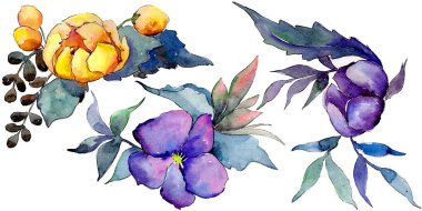 Sulu boya renkli buket çiçek. Botanik çiçek. İzole illüstrasyon öğesi. Arka plan, doku, sarıcı desen, çerçeve veya kenarlık için Aquarelle kır çiçeği.