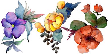 Sulu boya renkli buket çiçek. Botanik çiçek. İzole illüstrasyon öğesi. Arka plan, doku, sarıcı desen, çerçeve veya kenarlık için Aquarelle kır çiçeği.