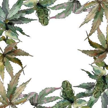 Sulu boya yeşil esrar bırakır. Yaprak bitki botanik bahçe çiçek yaprakları. Çerçeve kenarlığı süsleme Meydanı. Aquarelle yaprak için arka plan, doku, sarıcı desen, çerçeve veya kenarlık.