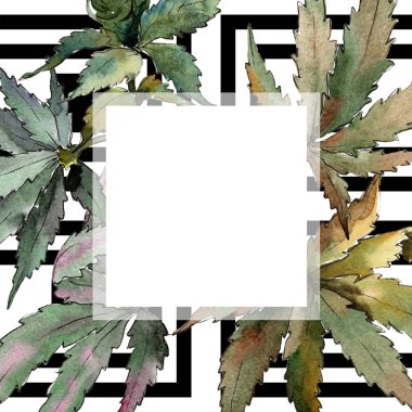 Sulu boya yeşil esrar bırakır. Yaprak bitki botanik bahçe çiçek yaprakları. Çerçeve kenarlığı süsleme Meydanı. Aquarelle yaprak için arka plan, doku, sarıcı desen, çerçeve veya kenarlık.