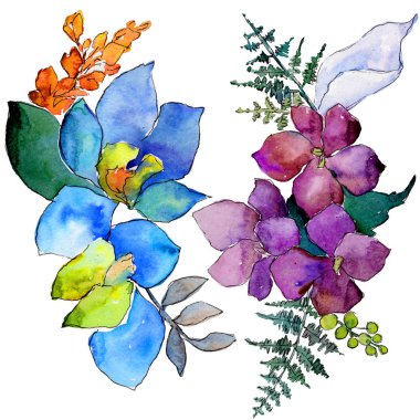 Suluboya mavi ve mor çiçekler. Botanik çiçek. İzole illüstrasyon öğesi. Arka plan, doku, sarıcı desen, çerçeve veya kenarlık için Aquarelle kır çiçeği.