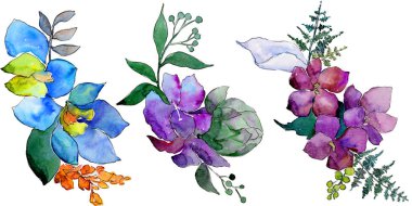 Suluboya mavi ve mor çiçekler. Botanik çiçek. İzole illüstrasyon öğesi. Arka plan, doku, sarıcı desen, çerçeve veya kenarlık için Aquarelle kır çiçeği.